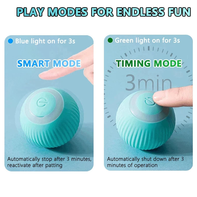Interactive Cat Ball Toy