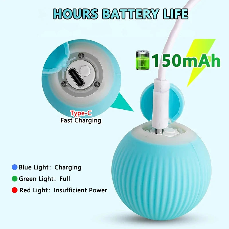 Interactive Cat Ball Toy