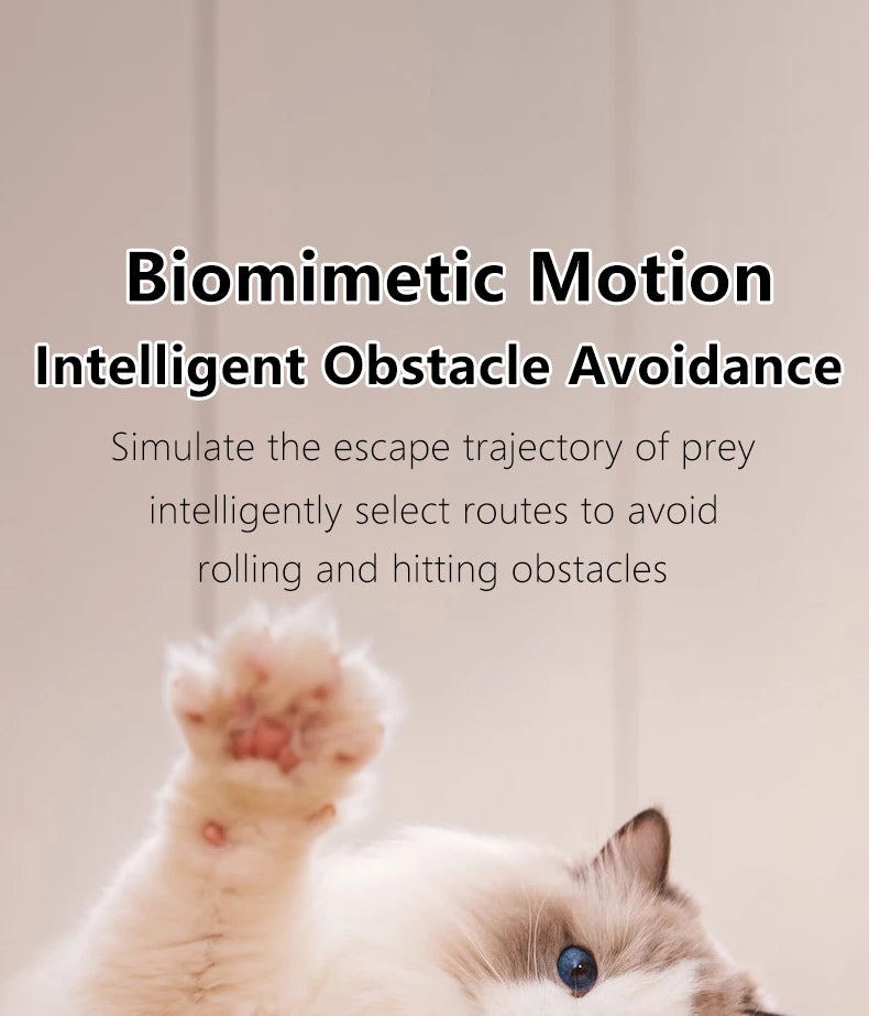 Interactive Cat Ball Toy
