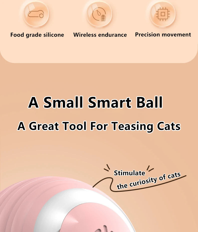 Interactive Cat Ball Toy