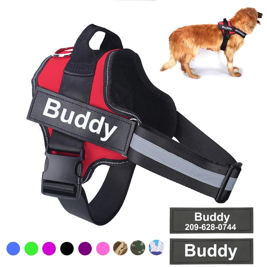 Custom Dog Harness
