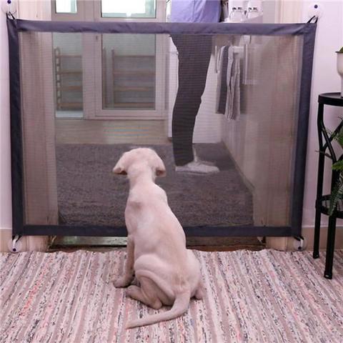 The Ultimate Guide to Pet Toys and Accessories