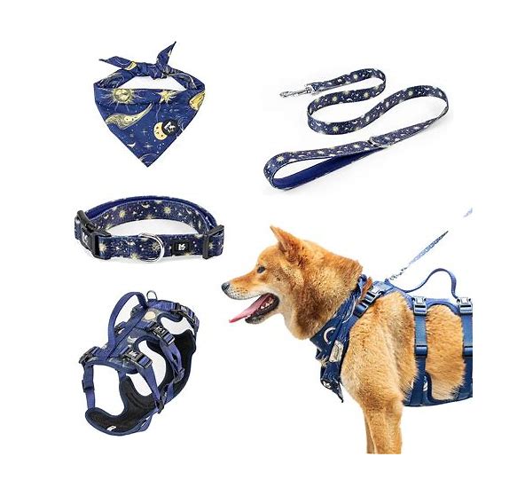 dog harness