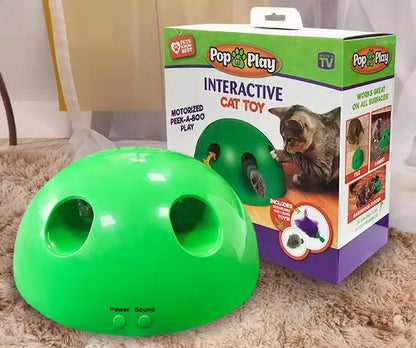 Cat Training Toy Pet Supplies