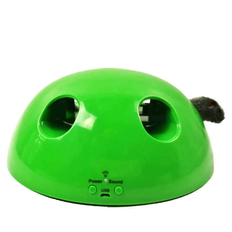 Cat Training Toy Pet Supplies