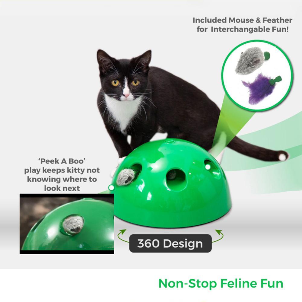 Cat Training Toy Pet Supplies