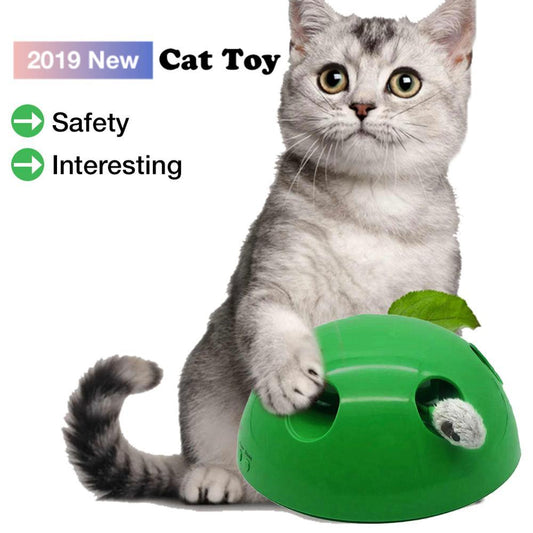 Cat Training Toy Pet Supplies