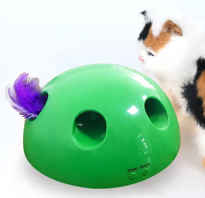 Cat Training Toy Pet Supplies