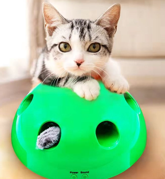 Cat Training Toy Pet Supplies