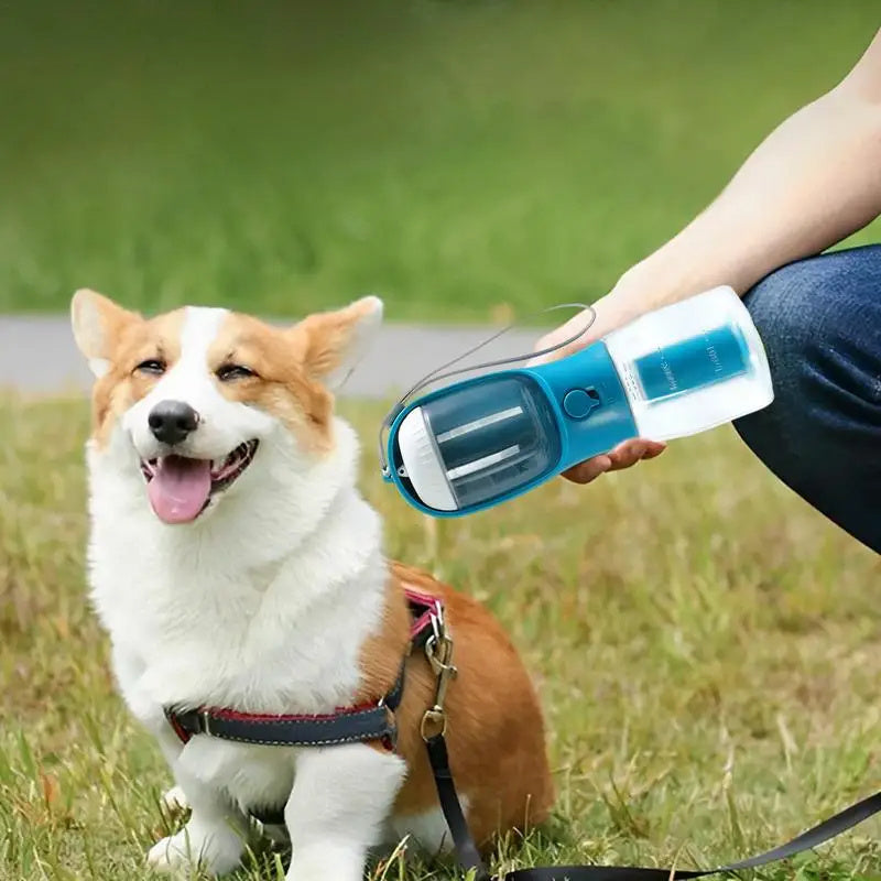 3-in-1 Pet Water Bottle