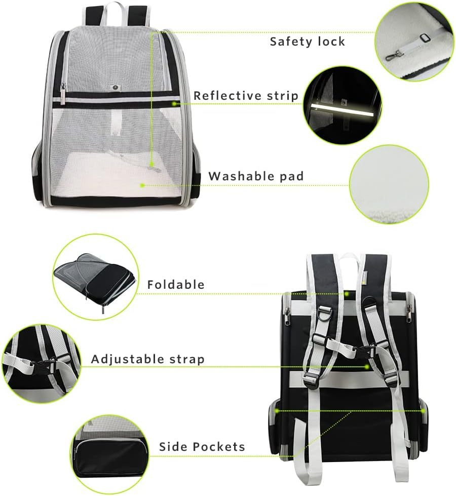 Innovative Traveler PET Bubble Backpack
