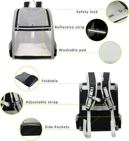 Innovative Traveler PET Bubble Backpack