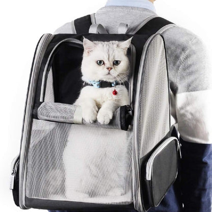 Innovative Traveler PET Bubble Backpack