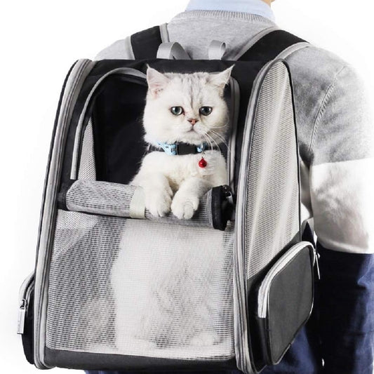 Innovative Traveler PET Bubble Backpack