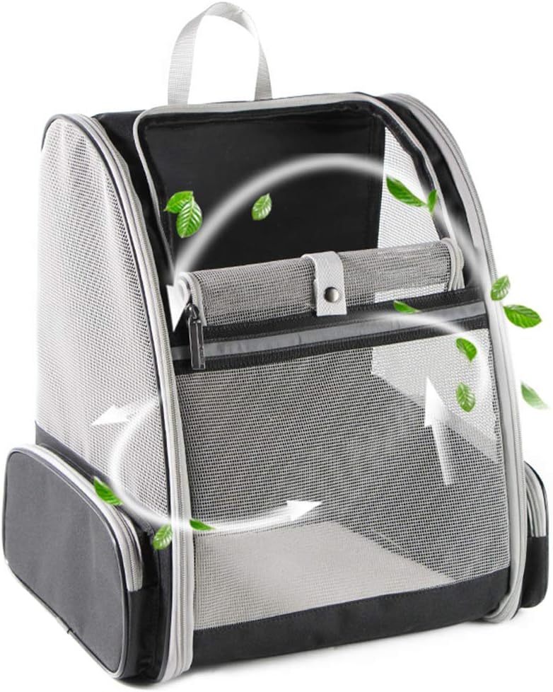 Innovative Traveler PET Bubble Backpack