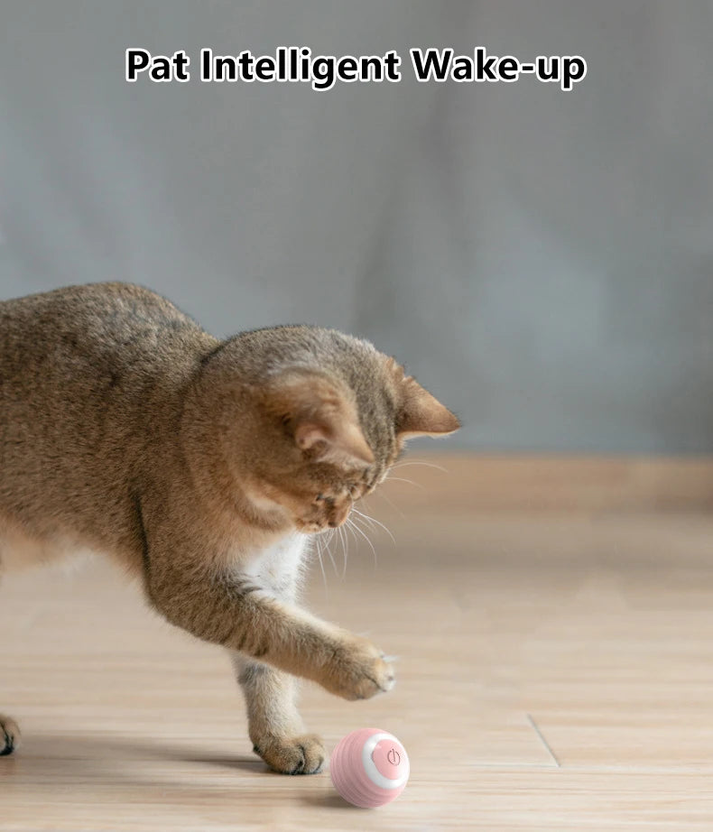 Smart Interactive Cat Rolling Ball