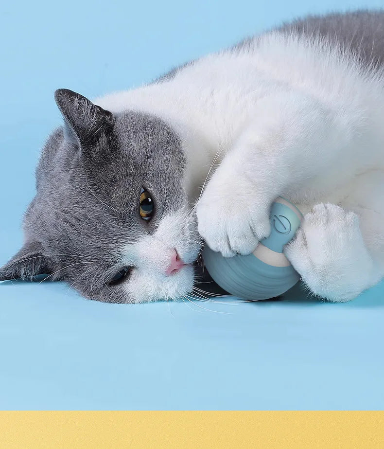 Smart Interactive Cat Rolling Ball