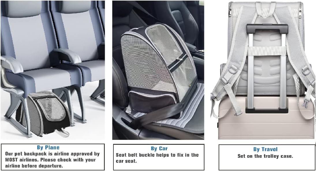 Innovative Traveler PET Bubble Backpack