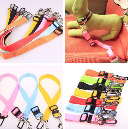 Fixed Strap Polyester Dog Leash & Car Seat Belt