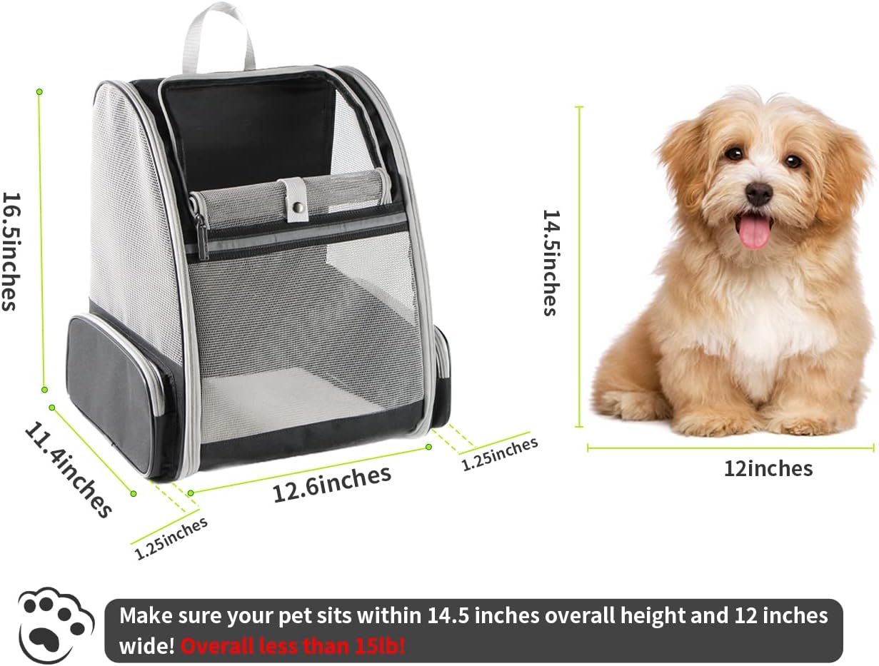 Innovative Traveler PET Bubble Backpack