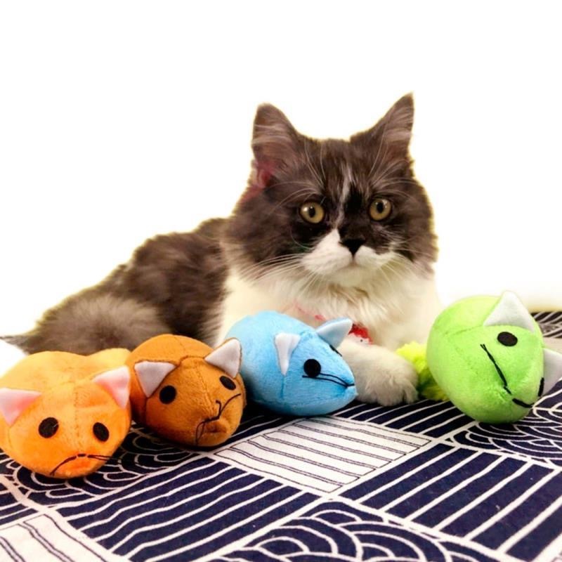 Mouse Cat Teaser Toys