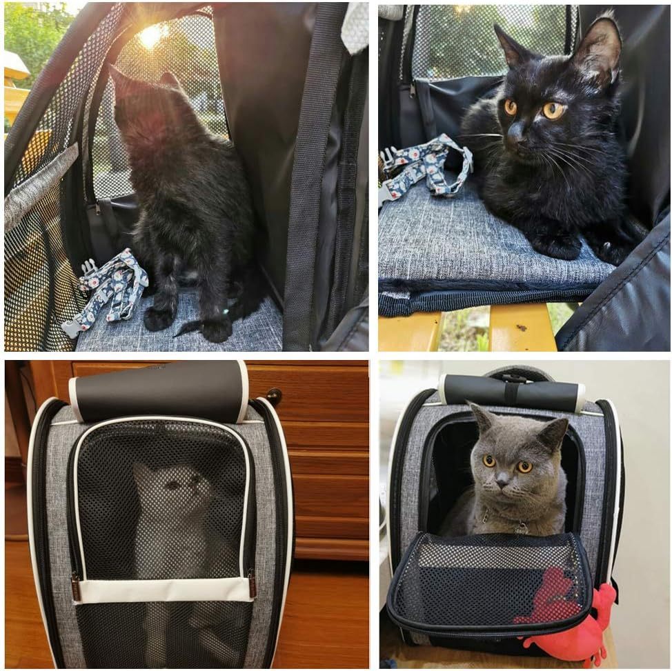 Innovative Traveler PET Bubble Backpack