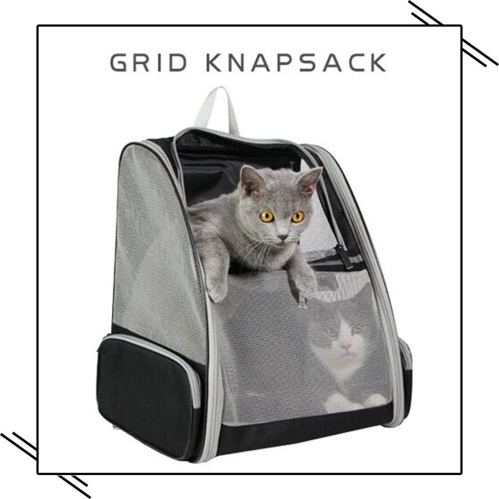 Innovative Traveler PET Bubble Backpack