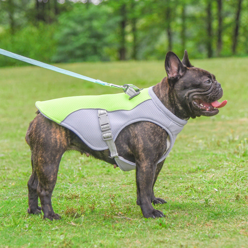 Breathable Dog Cooling Shirt – For Small & Large Dogs